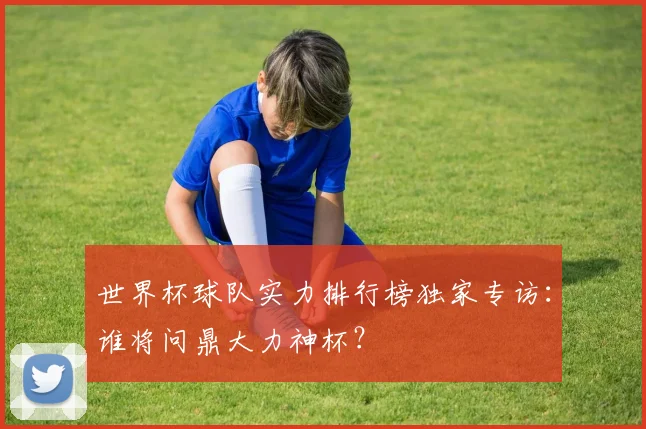 世界杯球队实力排行榜独家专访：谁将问鼎大力神杯？