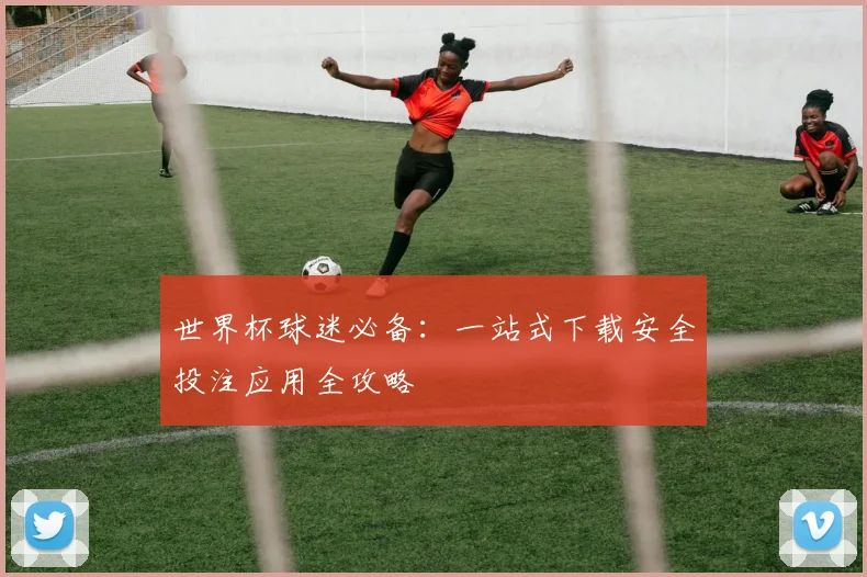 世界杯球迷必备：一站式下载安全投注应用全攻略
