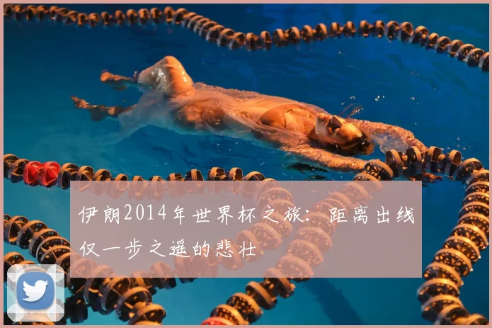 伊朗2014年世界杯之旅：距离出线仅一步之遥的悲壮