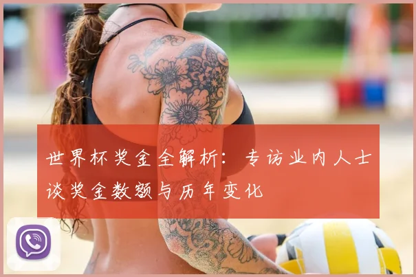 世界杯奖金全解析:专访业内人士谈奖金数额与历年变化