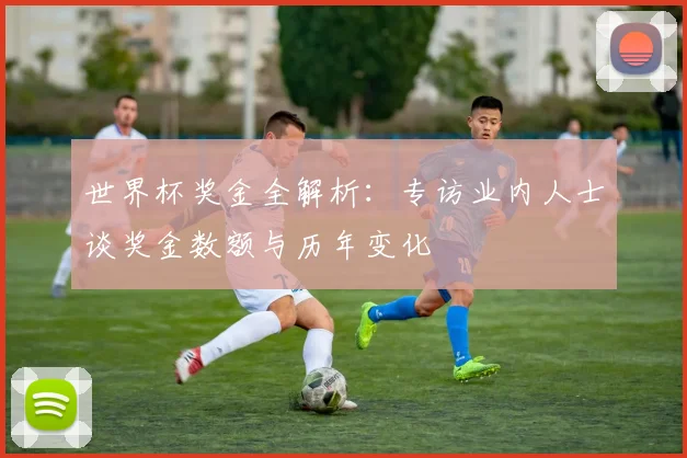 世界杯奖金全解析:专访业内人士谈奖金数额与历年变化