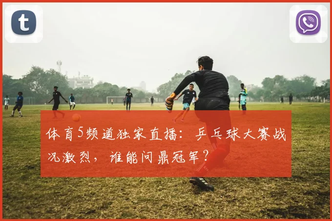 体育5频道独家直播：乒乓球大赛战况激烈，谁能问鼎冠军？