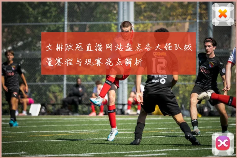 女排欧冠直播网站盘点各大强队较量赛程与观赛亮点解析